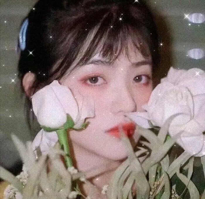 华丽之后粤语