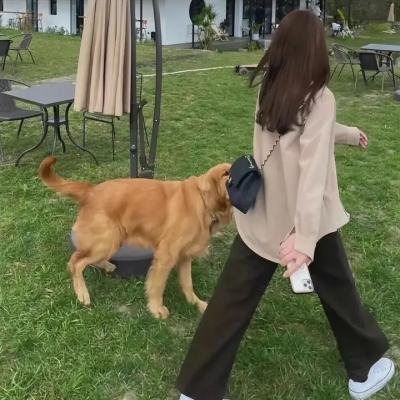 人生大乱斗